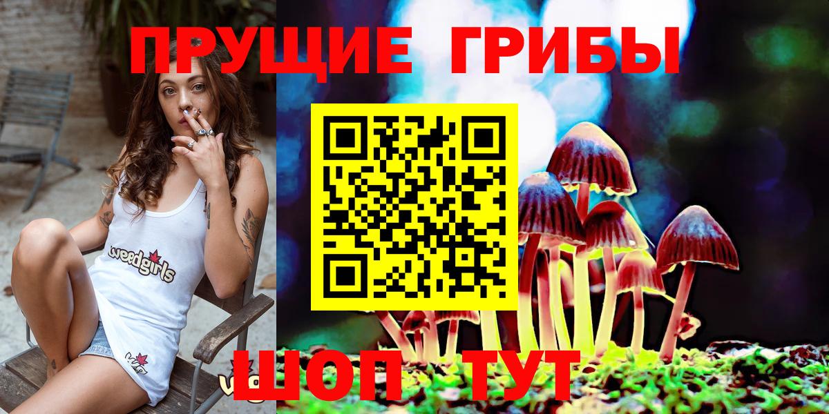 Псилоцибиновые грибы MAGIC MUSHROOMS Каменка